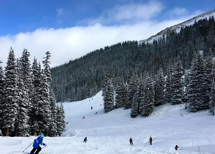 Spruce Copper Mountain