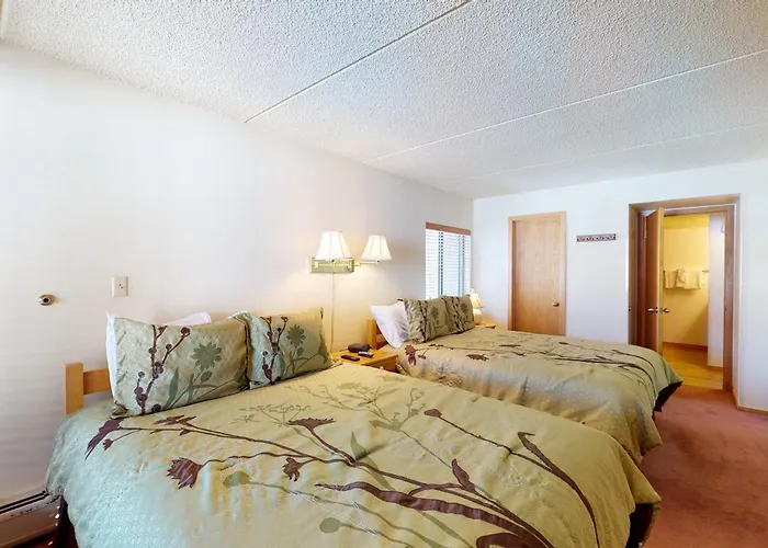 Spruce *